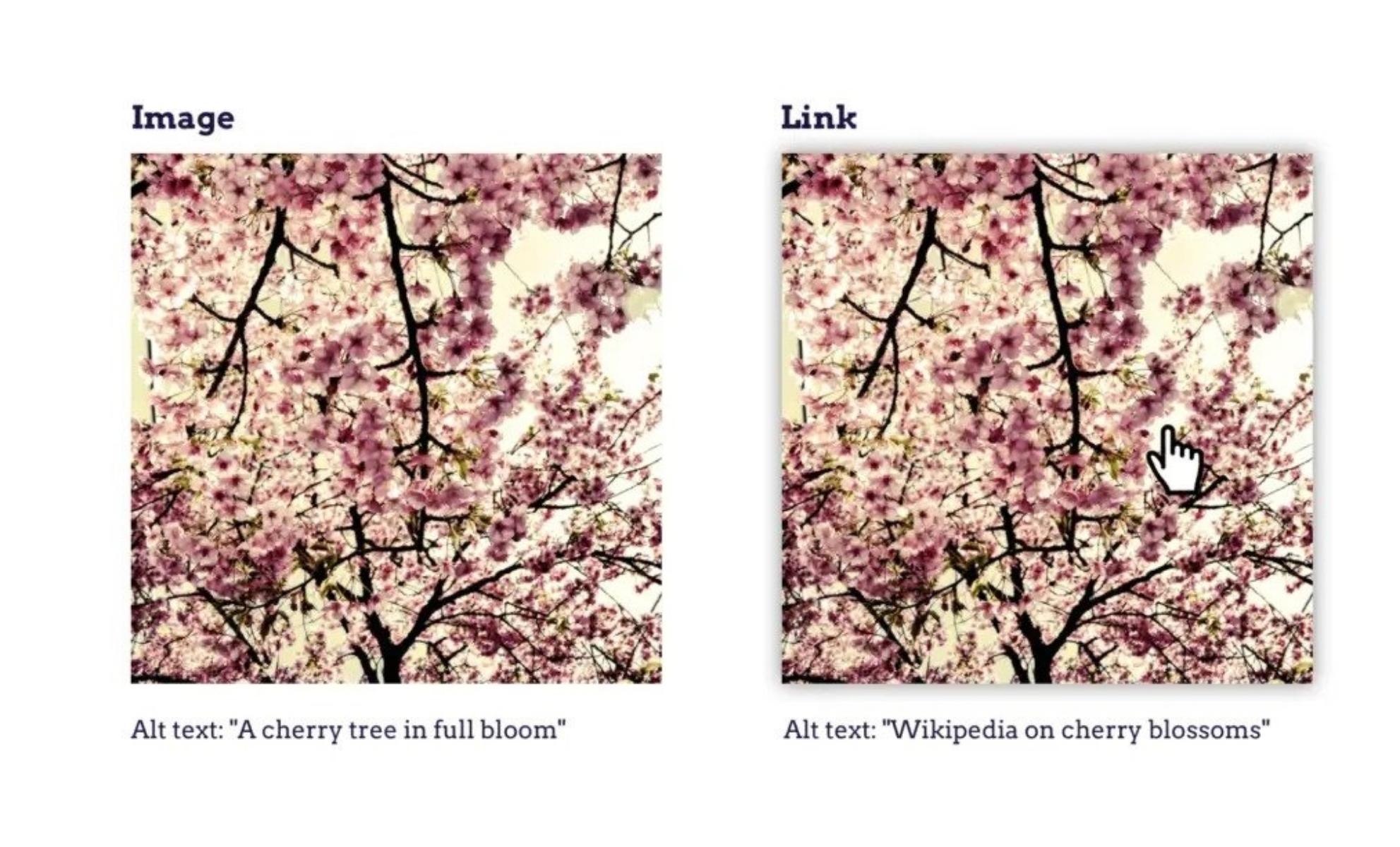 Embedding an image in a link