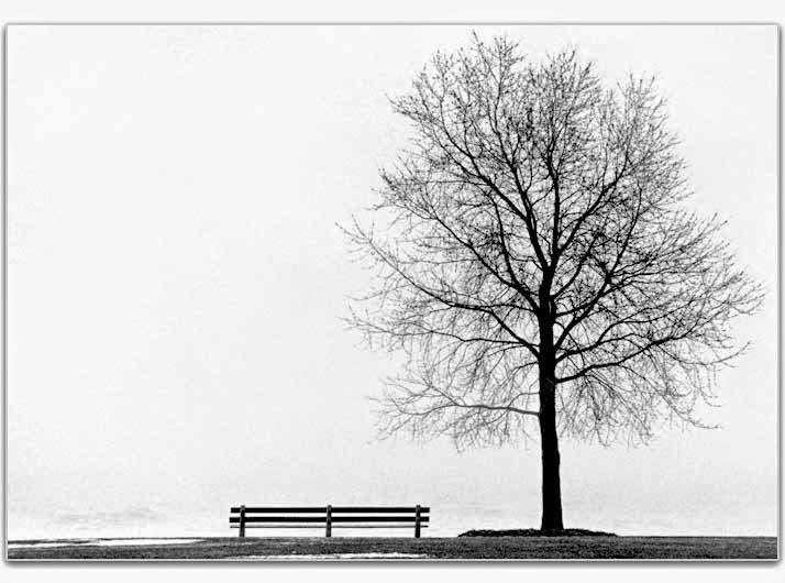 Solitude