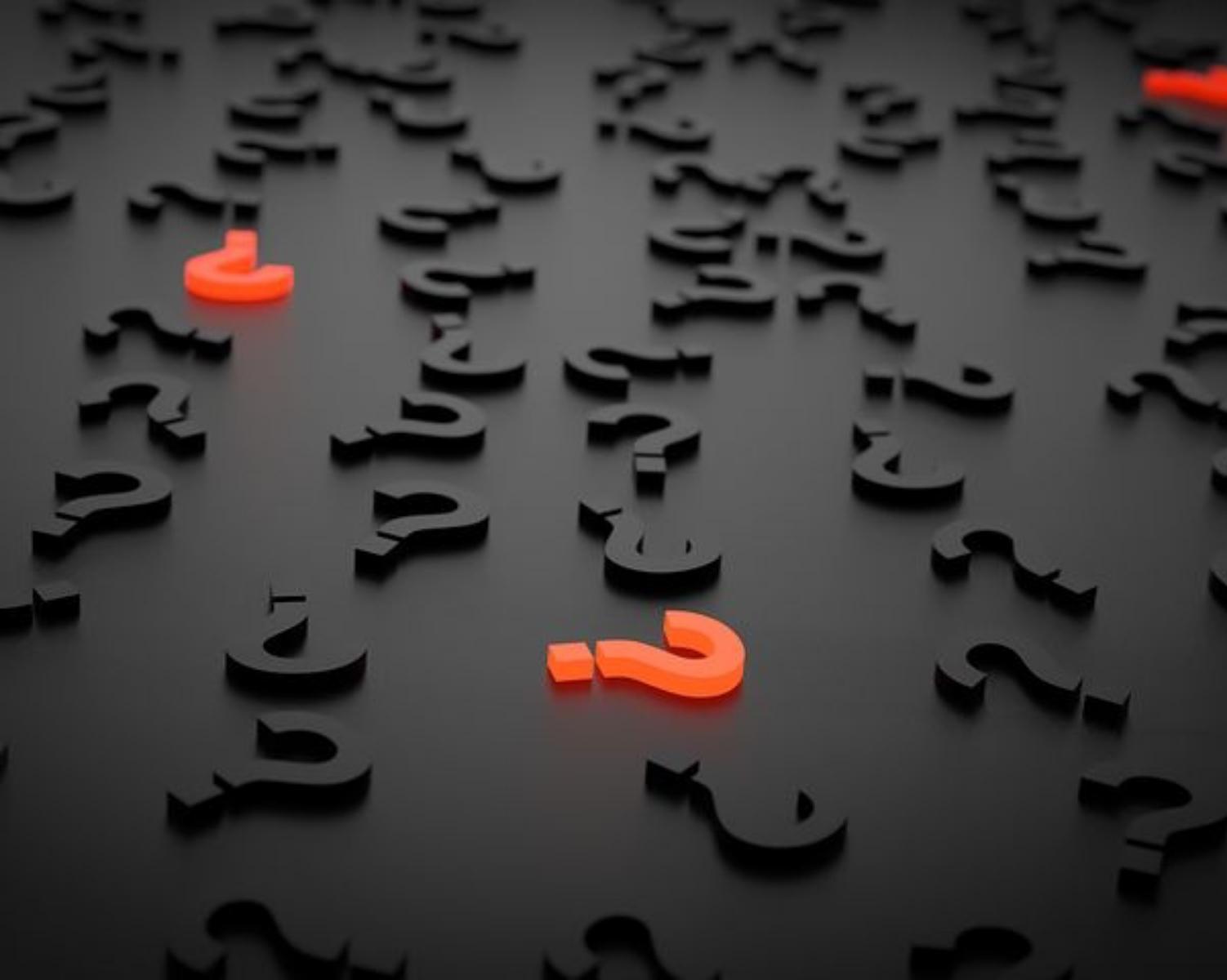 “Why is it that some people are more successful than others?”