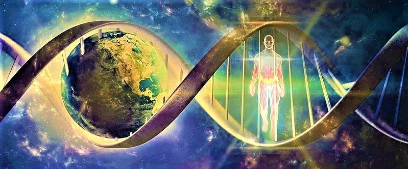 Are we Immortal?!