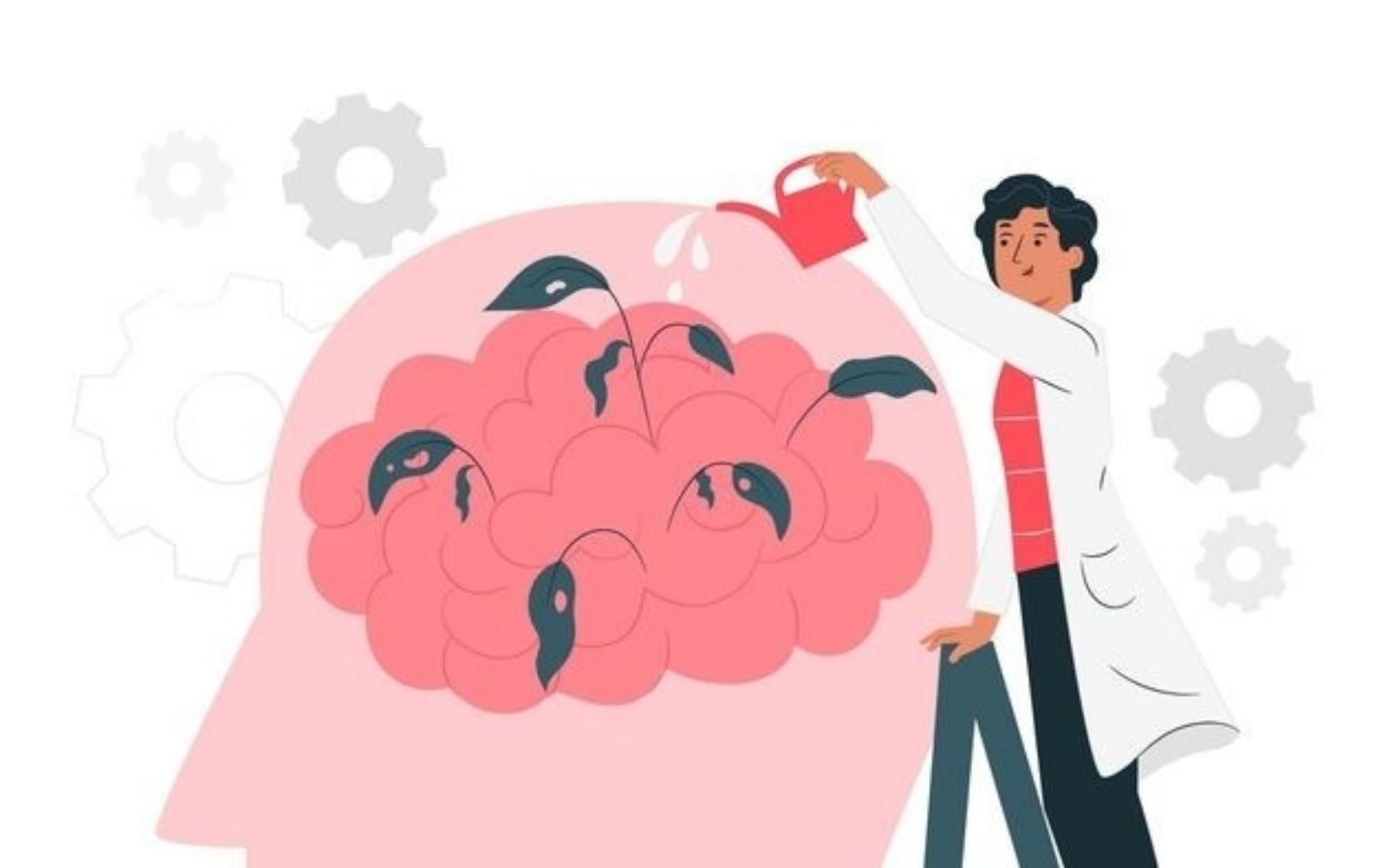 What happens in the brain when we learn? 