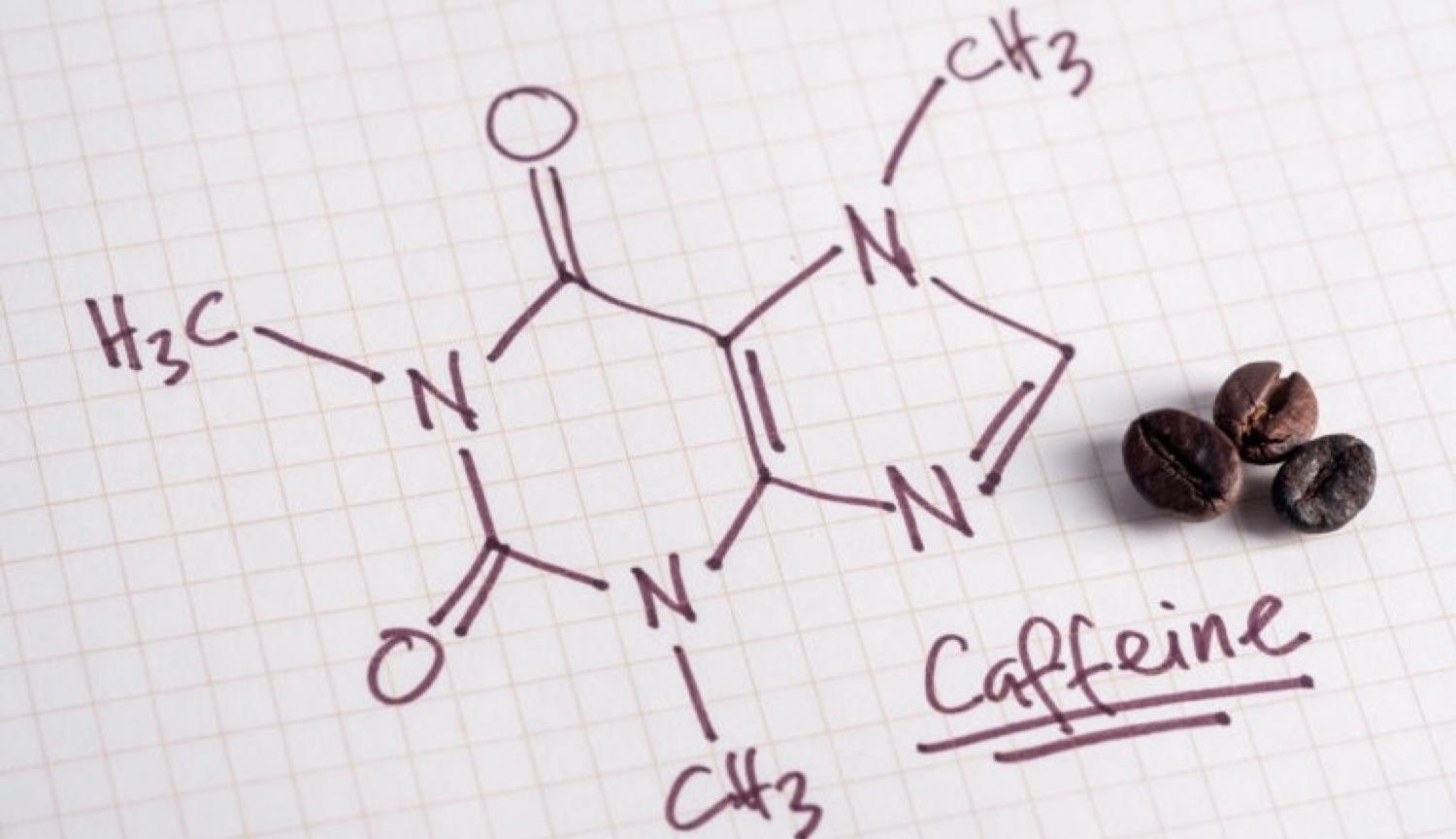 Coffee and Nutrients