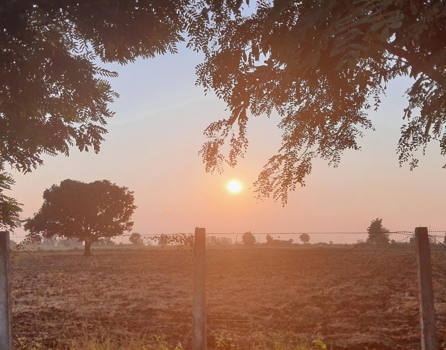 Steps to - How to start a new day?