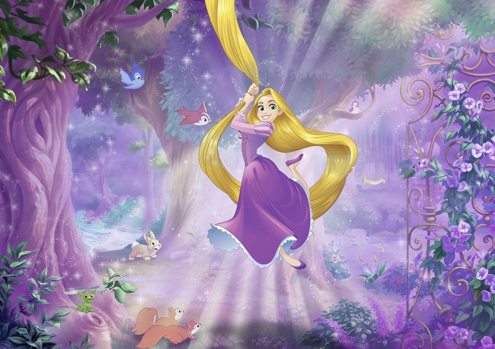 Rapunzel Story.