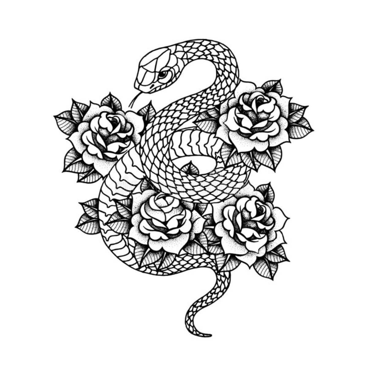 Year Of The Snake