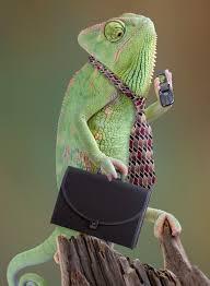 Use the Chameleon Effect