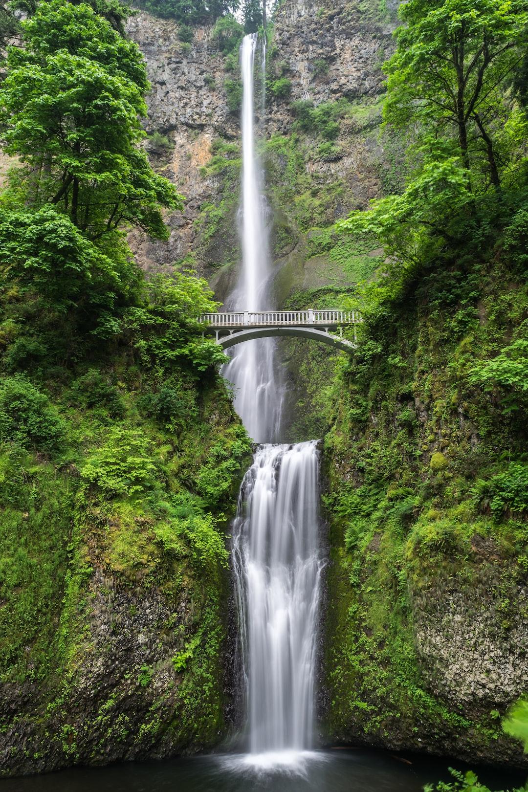 Nature and Mental Well-being