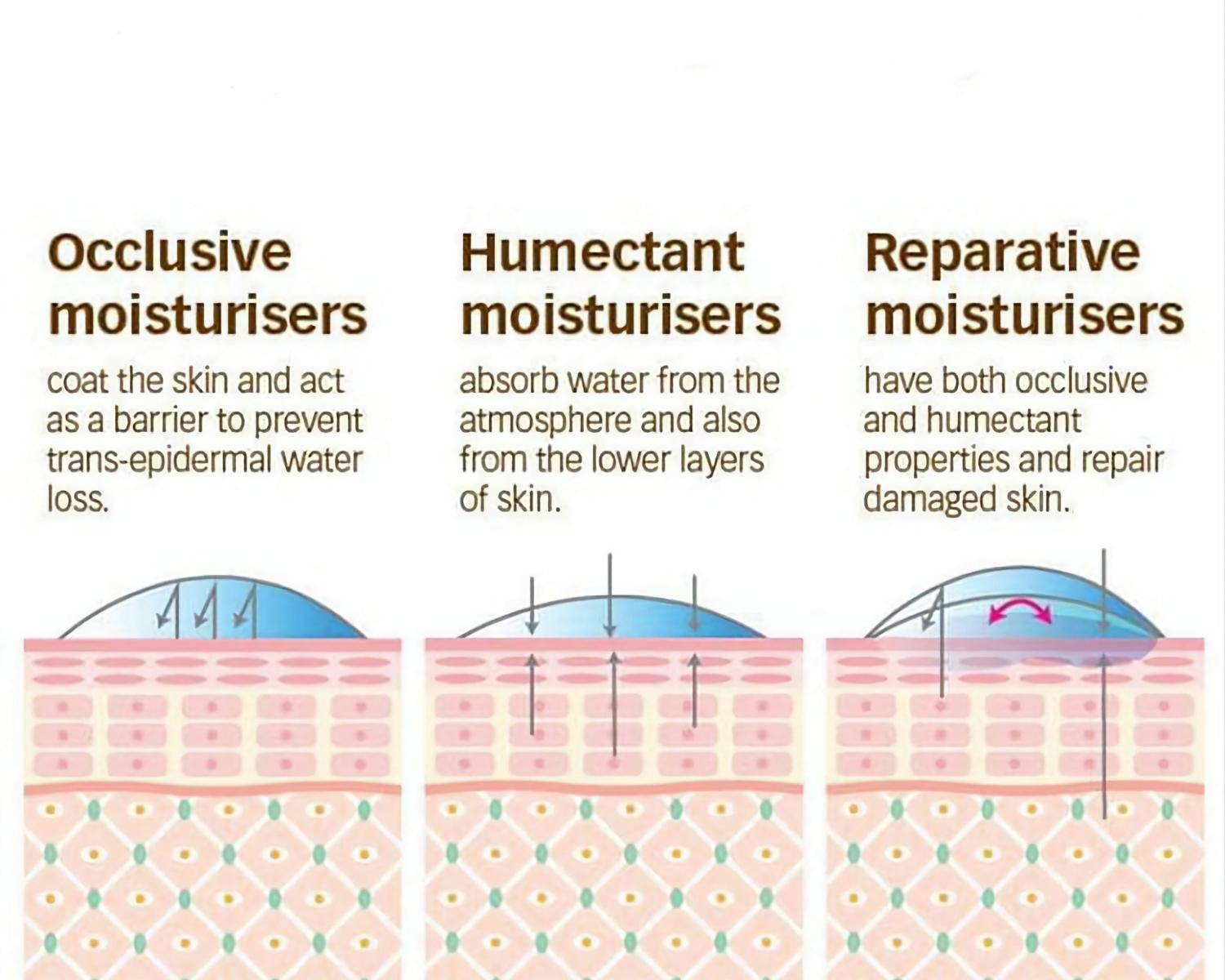 The Trifecta Of Hydrating Ingredients