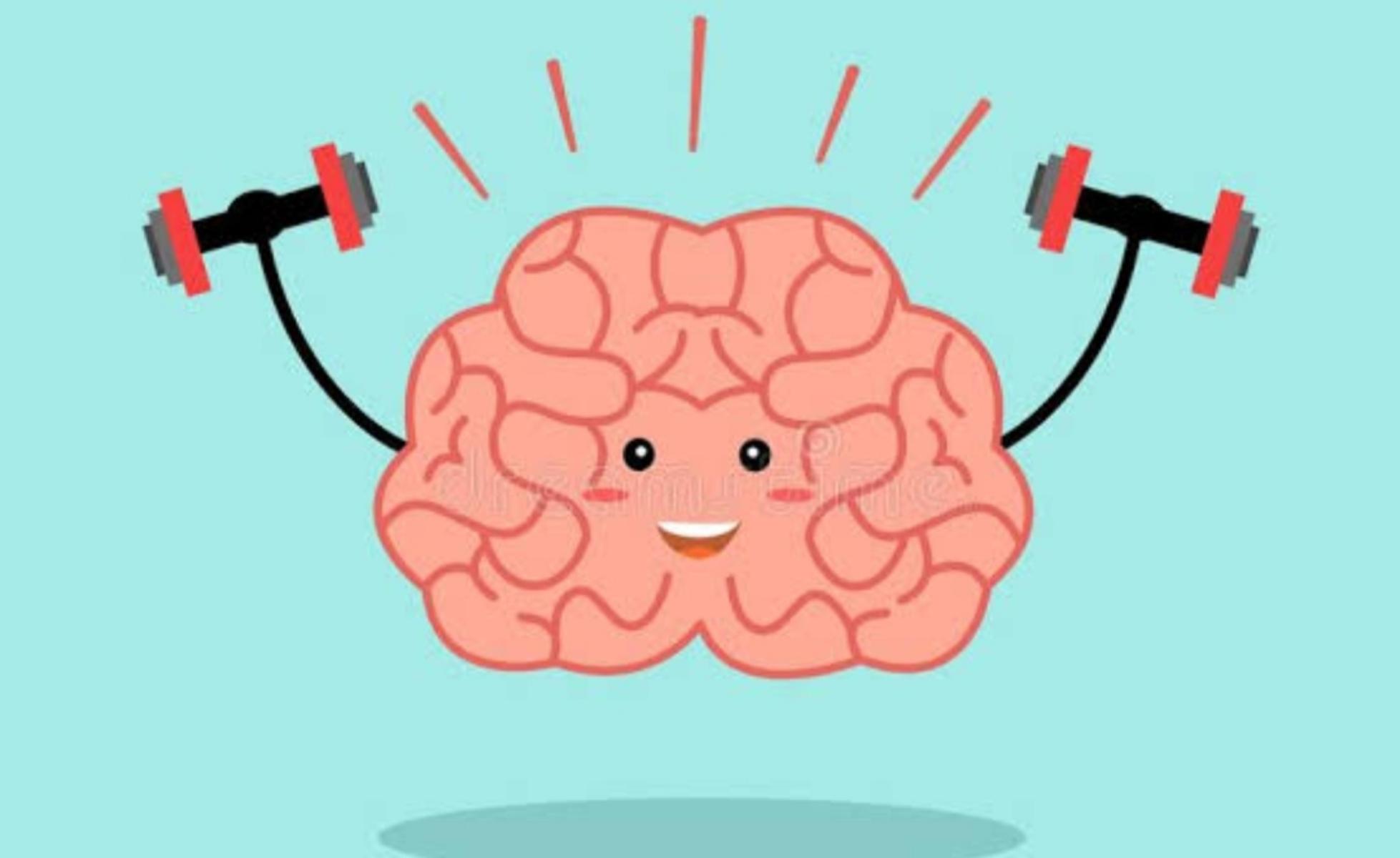 1) Improves Brain Function 