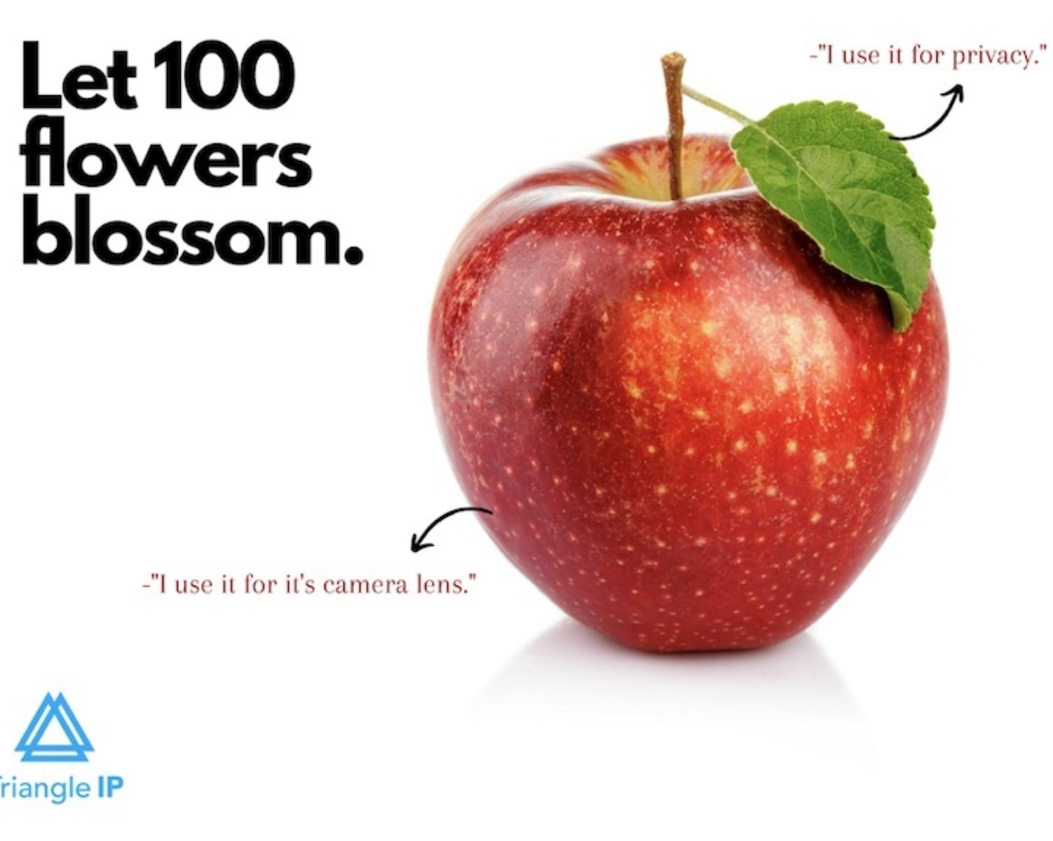 Let 100 Flowers Blossom