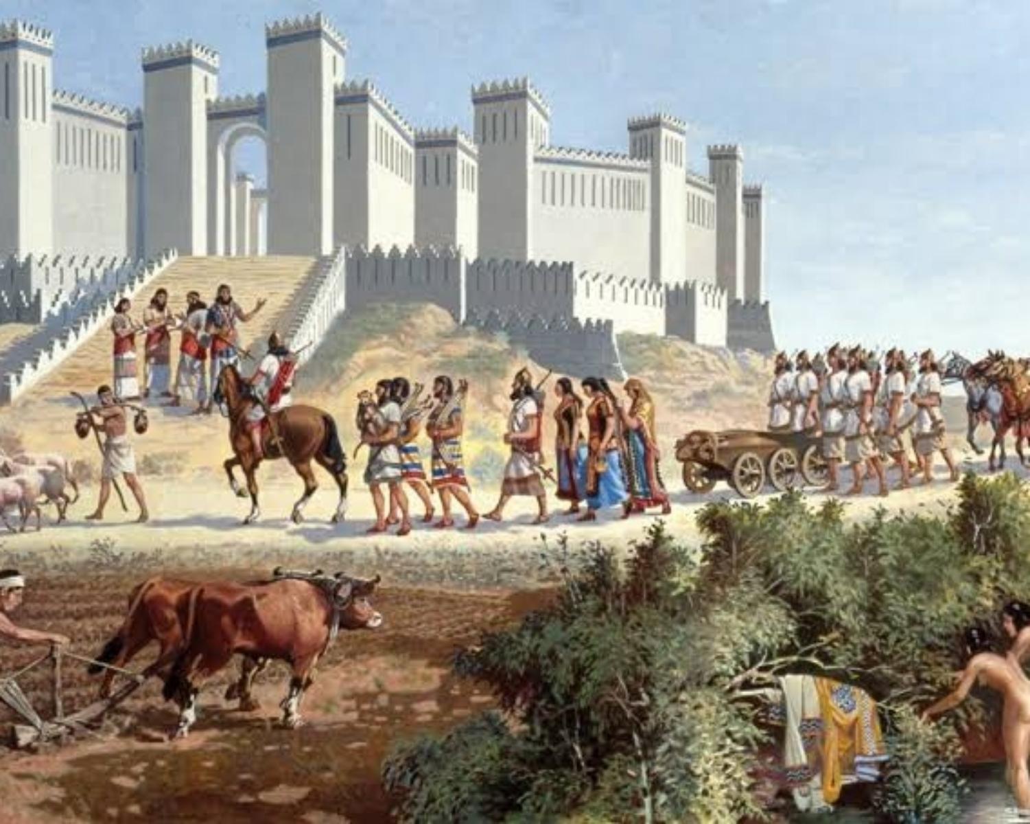 Humans Trasformation