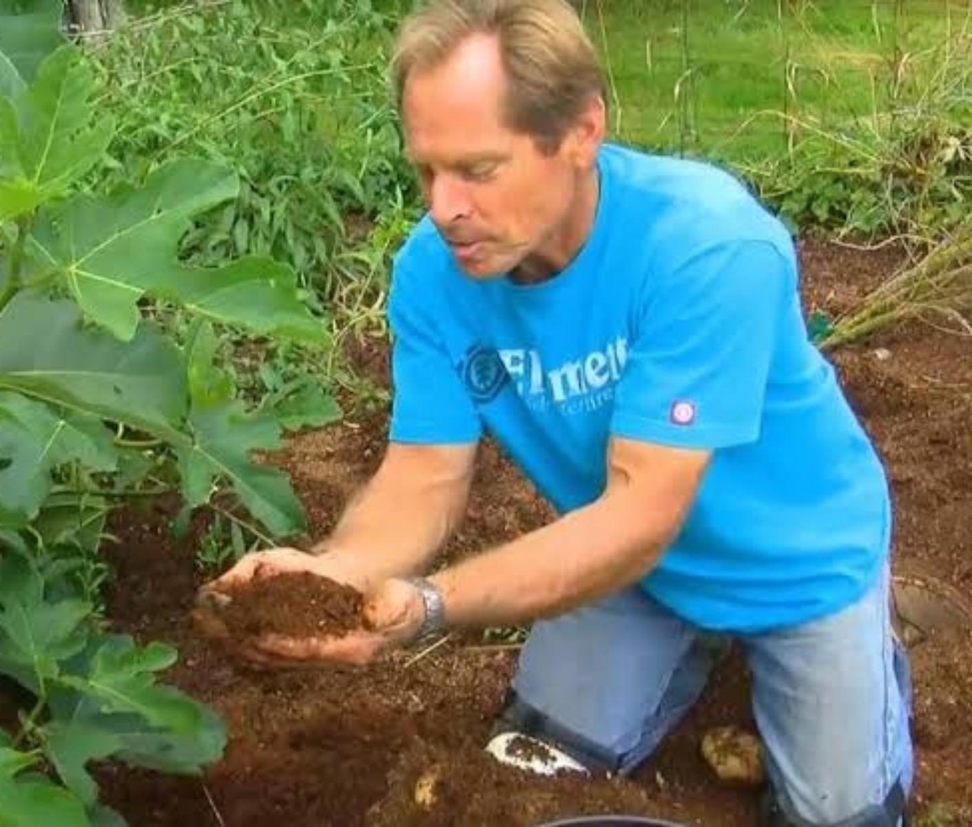Gardening take aways from the Back To Eden film