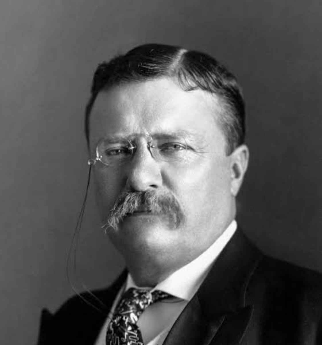 THEODORE ROOSEVELT