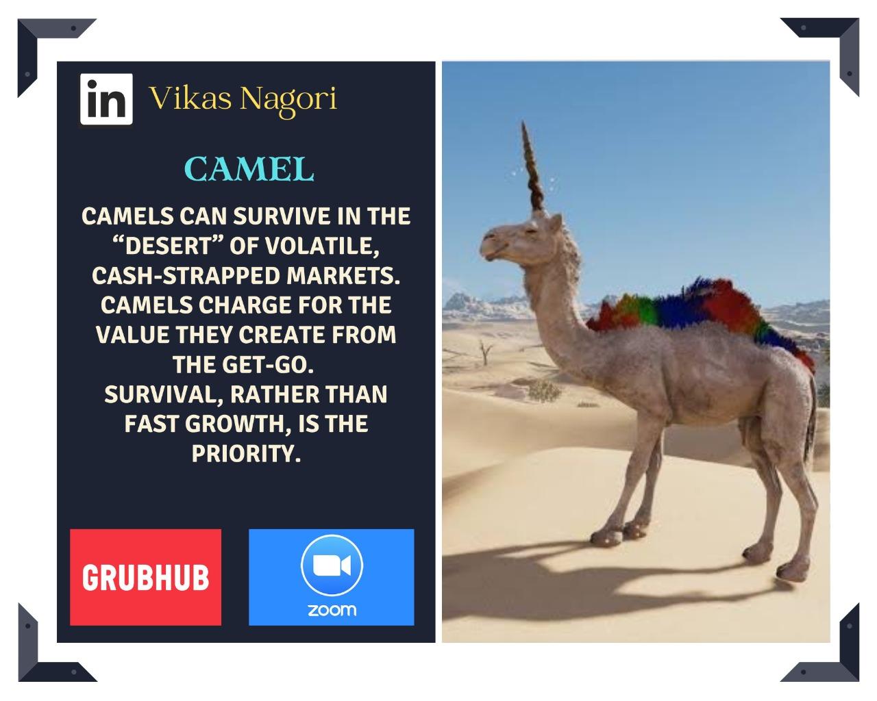 The Camel