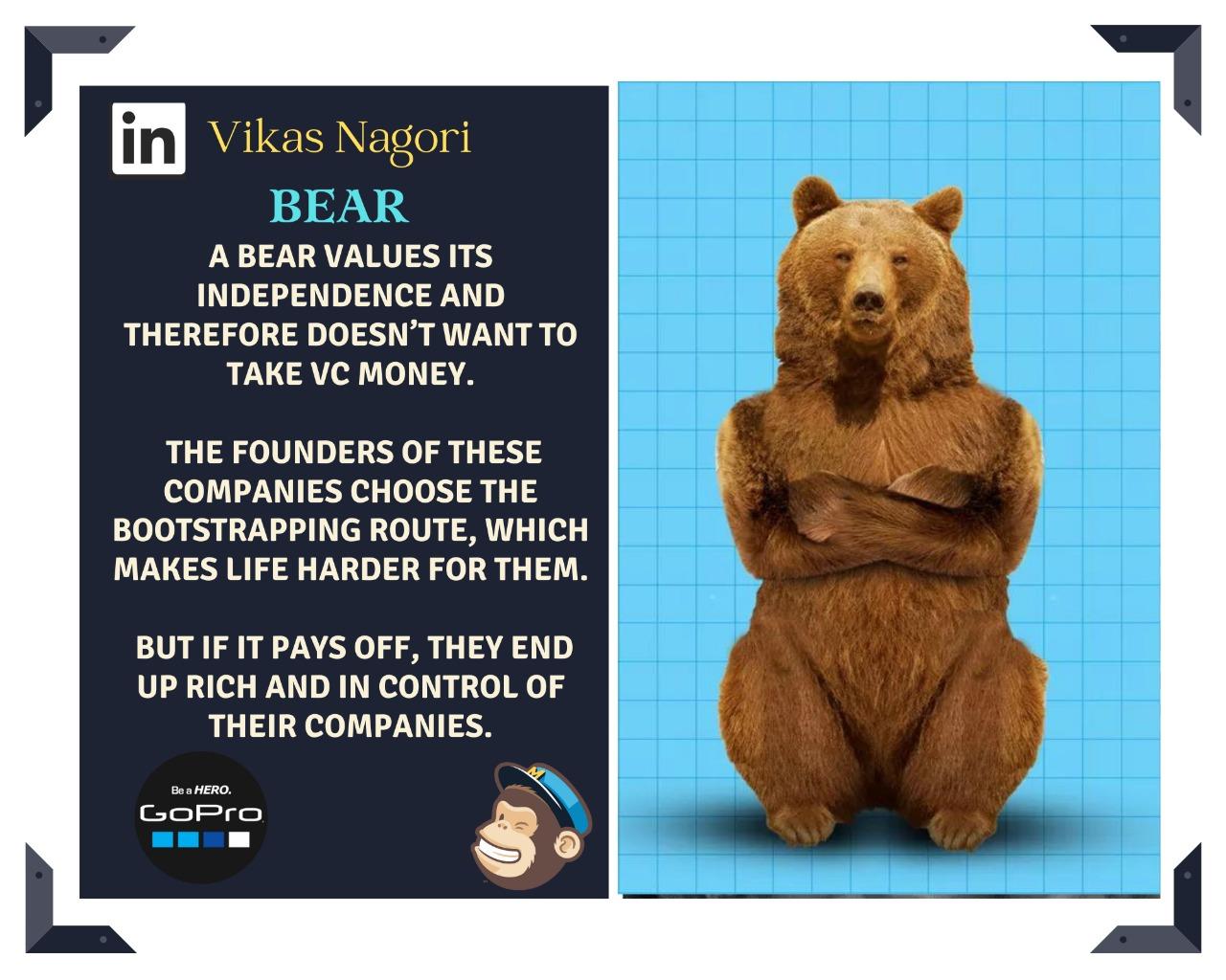 <p>A bear is a solitary, awkwa...