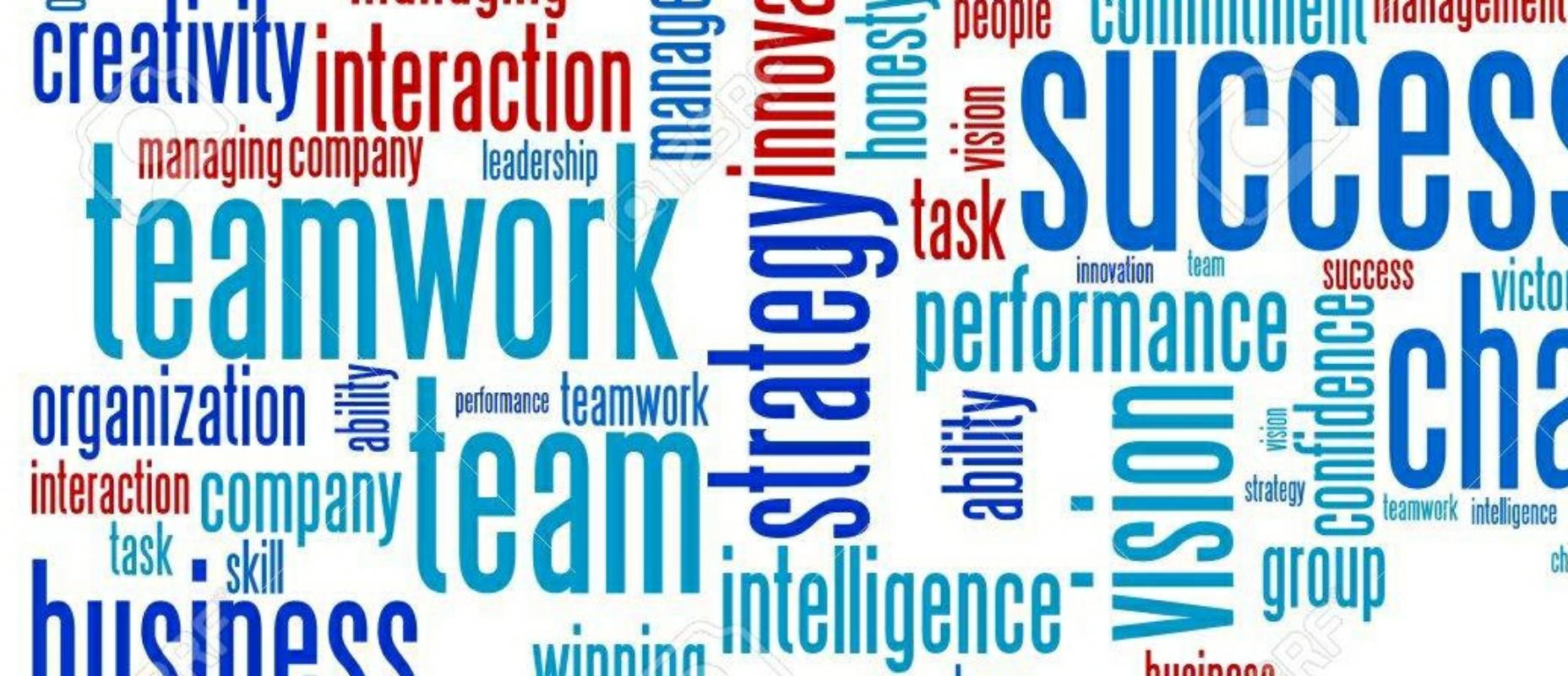 Leadership & Management 
