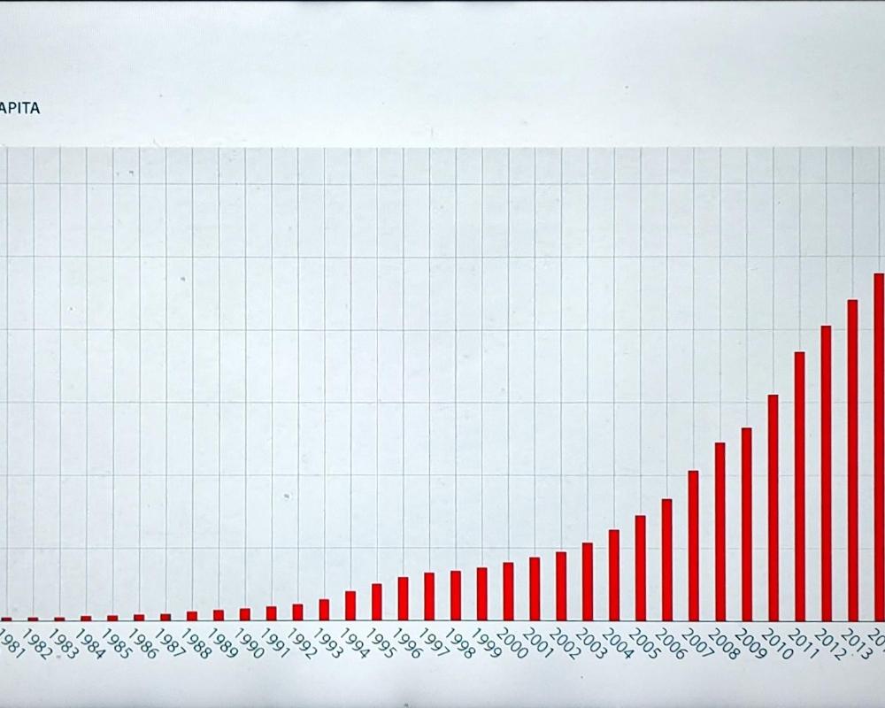 Explosive growth of economy