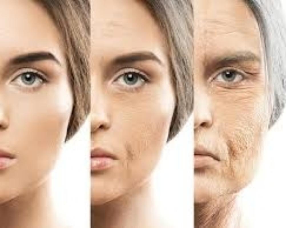 The role of the hypothalamus in aging