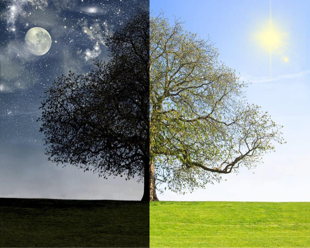 Do What Makes Mornings Exciting And Nights Peaceful | Shane Parrish
