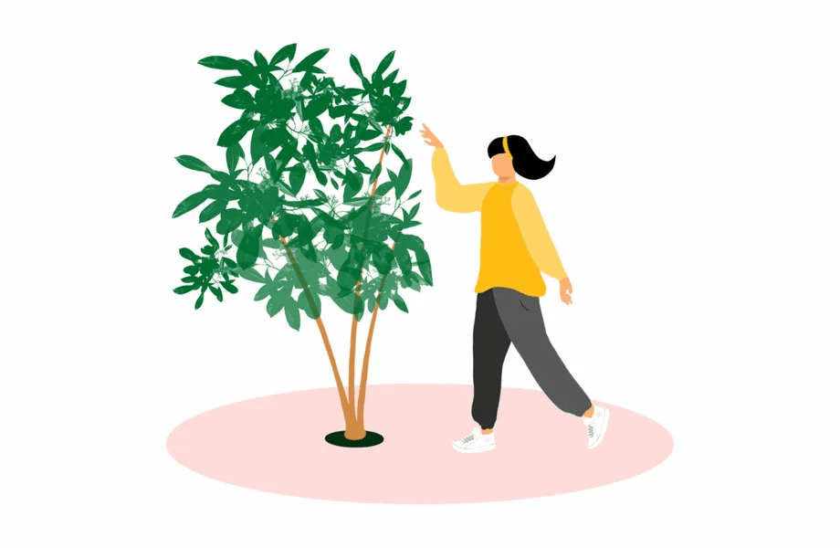 Understanding the Essence of Mental Wellbeing