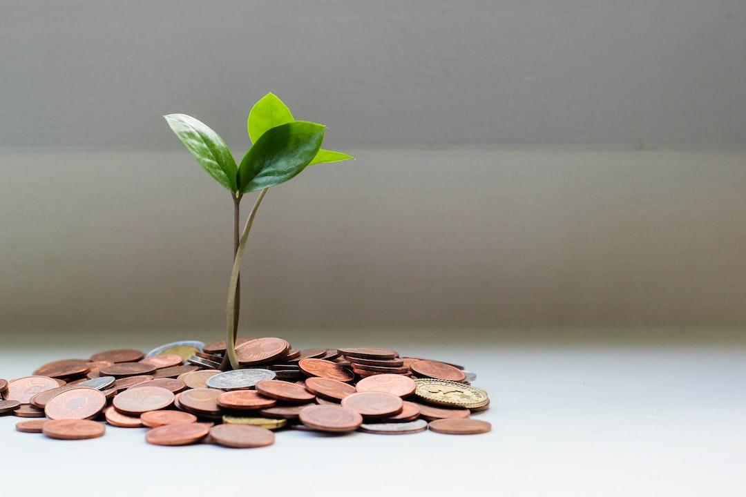 Blitzscaling Companies
