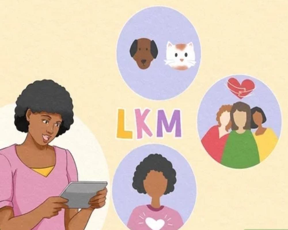 1. Explore the principles behind LKM