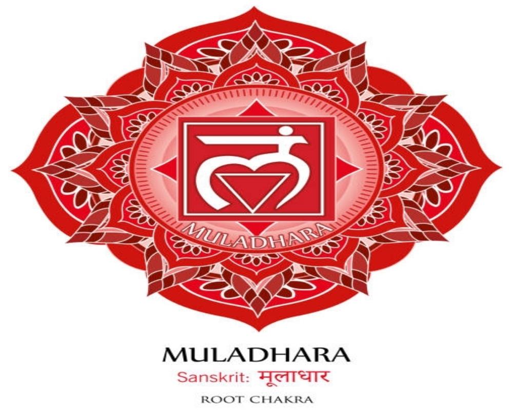 The Root Chakra