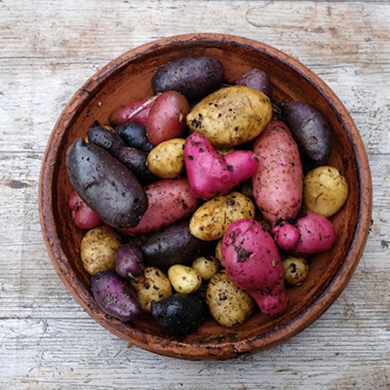 What Does Going 1 Day Without Starchy Vegetables Mean?