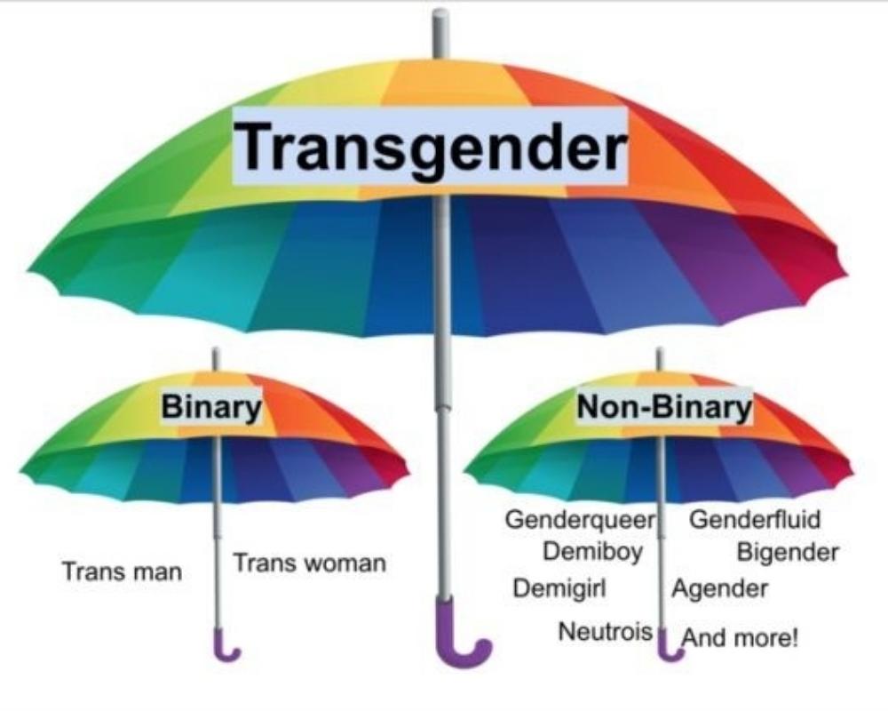 Current Perceptions of Gender