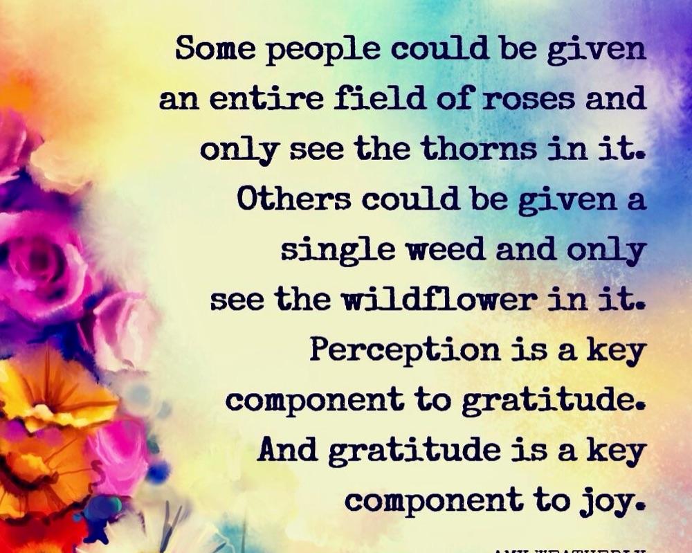 +Gratitude+