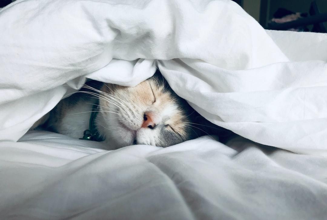 Take Breaks and Get Enough Sleep
