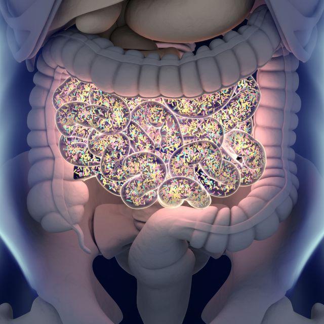 Microbiome