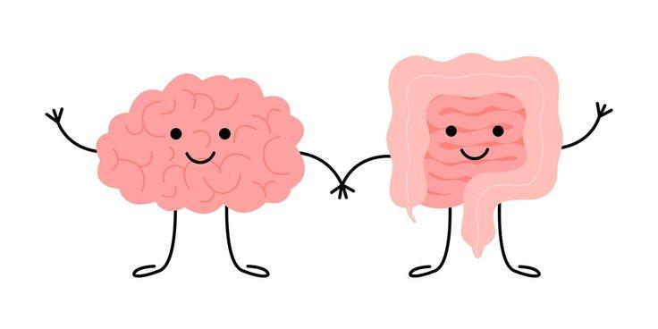 Mind-Gut connection