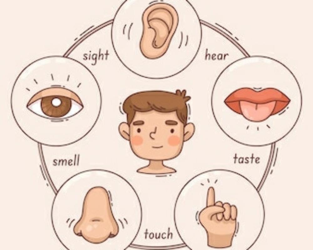 #3:  Sensory Grounding Technique 5/4/3/2/1 (Mindfulness)