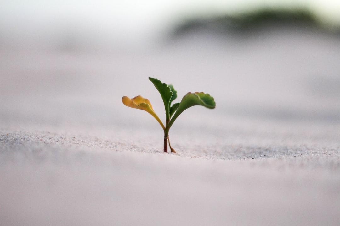 Month 1 – Commit to personal growth.