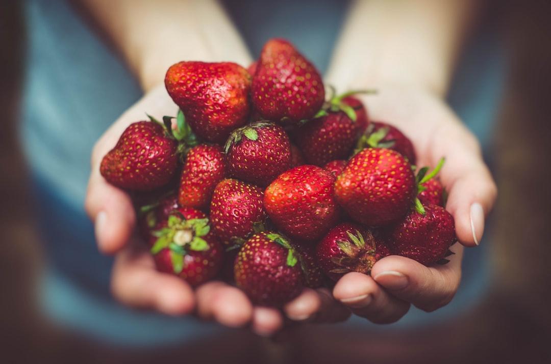 The Integral Role of Food in Our Lives