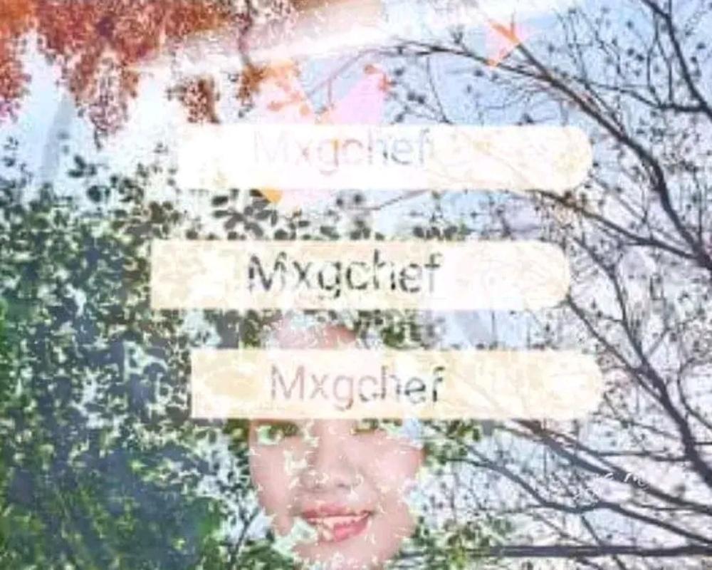 GHICABALZA(MXGCHEF)