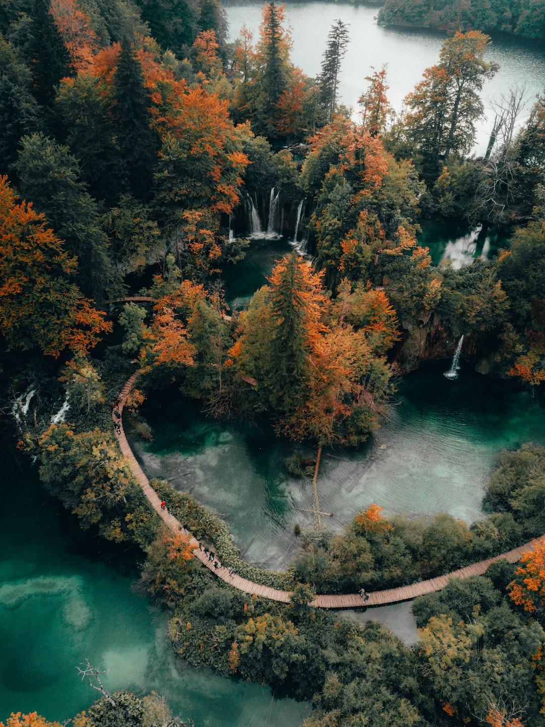 4. Lack of nature around us