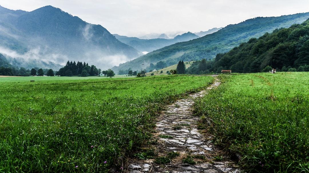 Distraction as a Path to Clarity