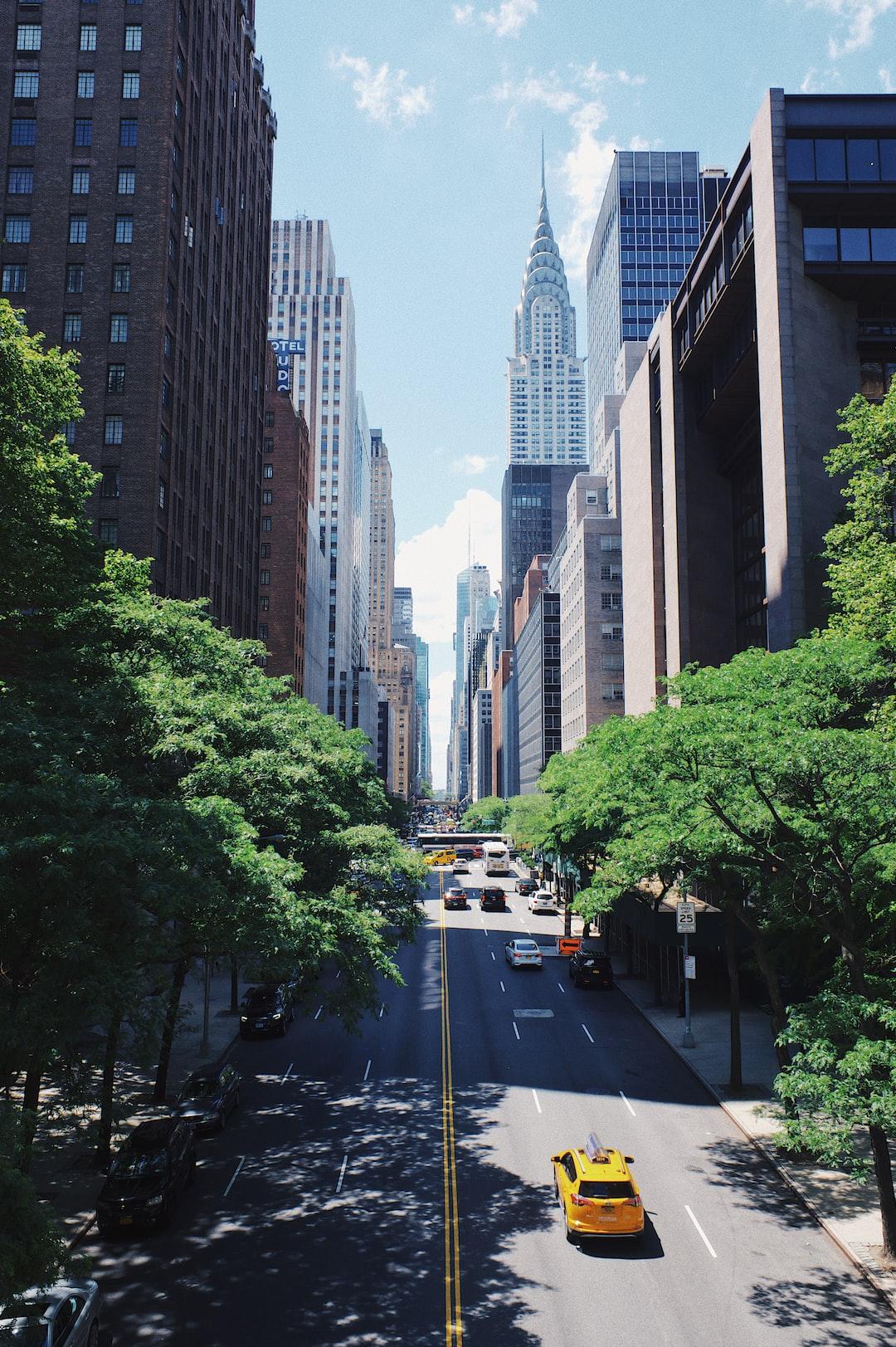 Explore New Perspectives with These Tools