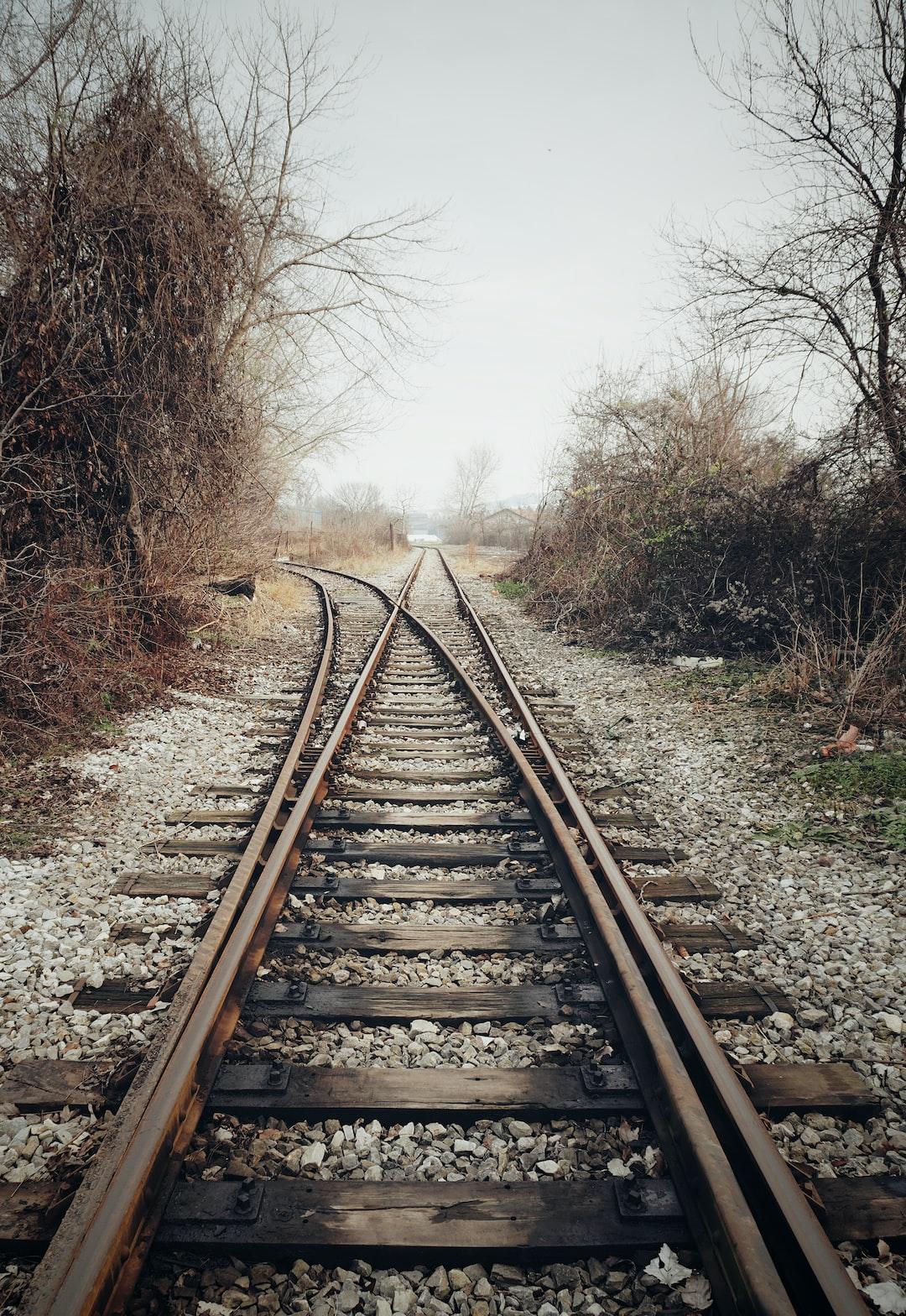 The Decision Paralysis (1)
