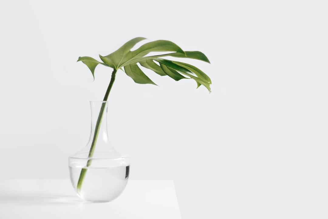 How to Embrace Essentialism and Minimalism