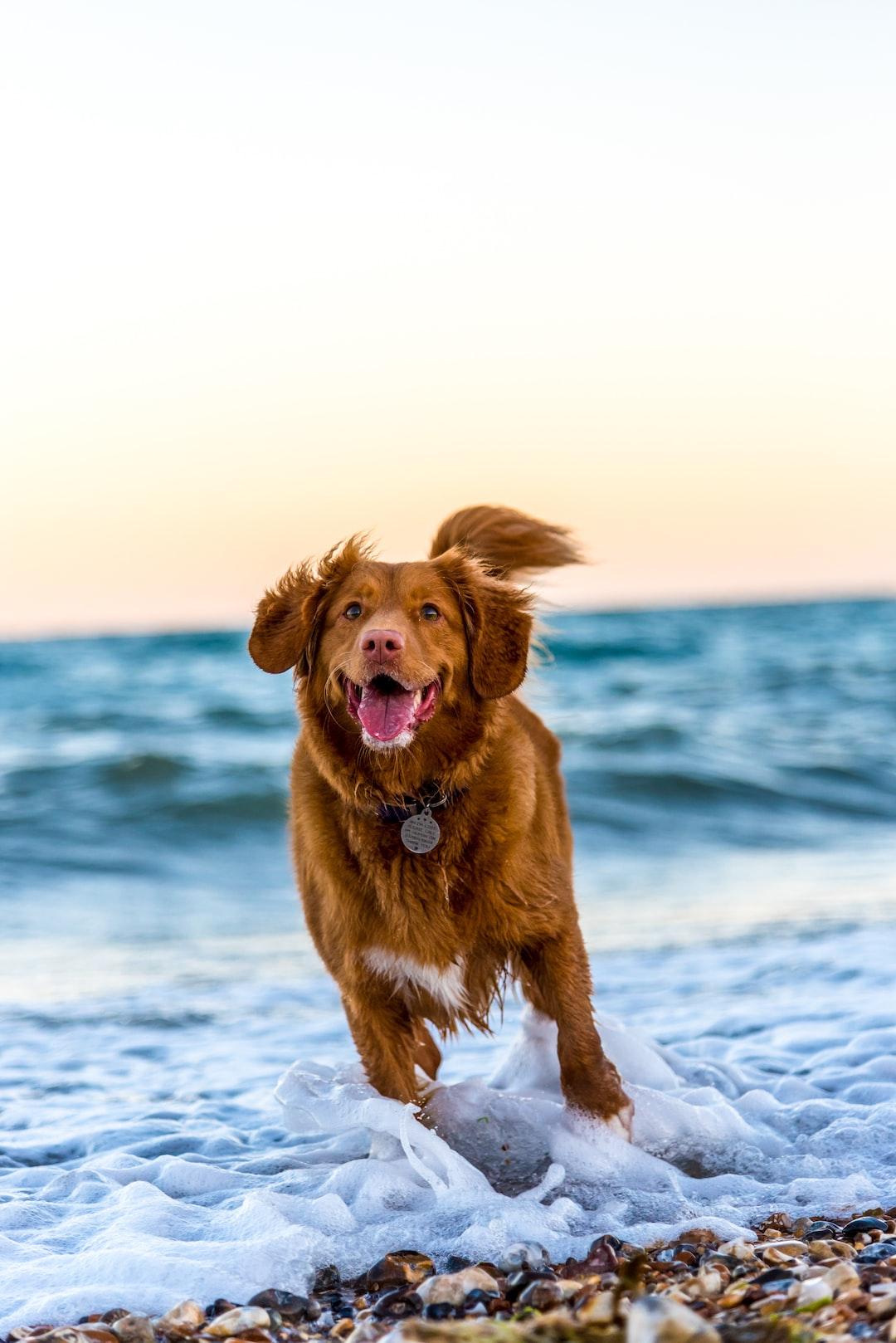 Mental Health and Emotional Well-being