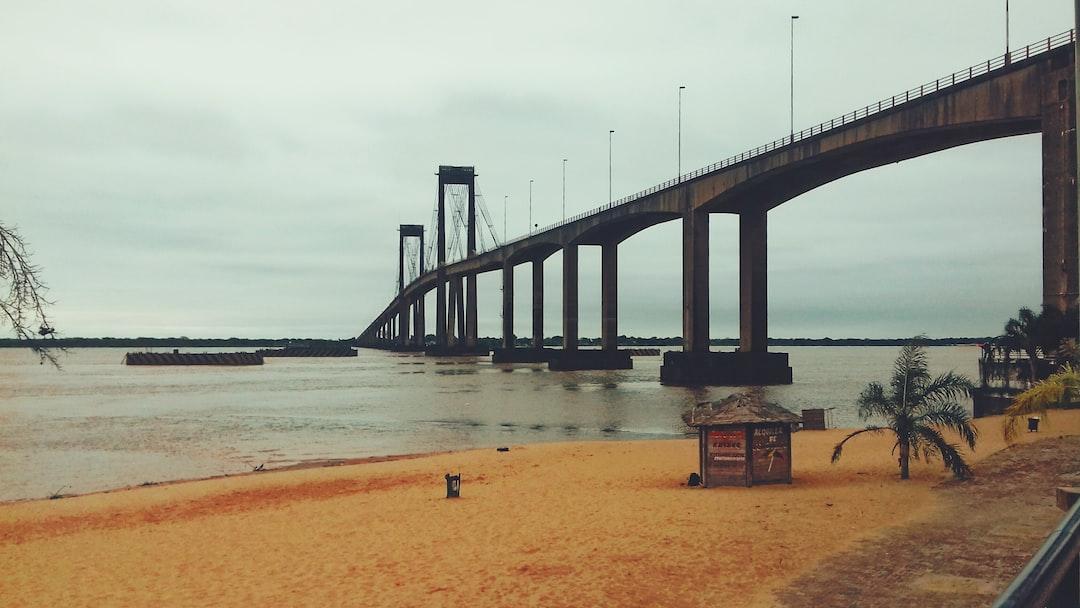 Names as a Bridge to Connection