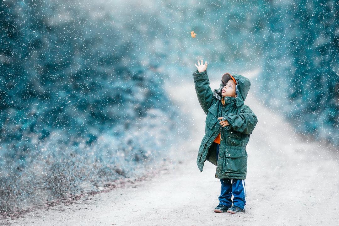 "The Snow Child" by Eowyn Ivey