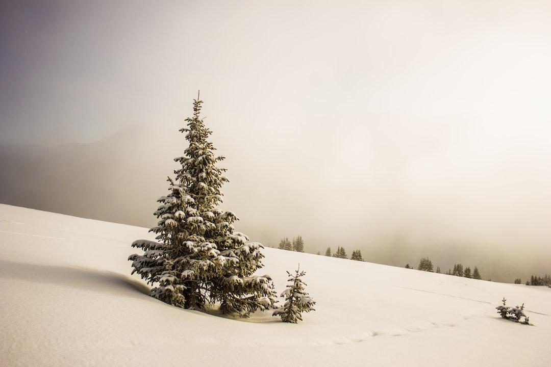 "Wintersong" by S. Jae-Jones