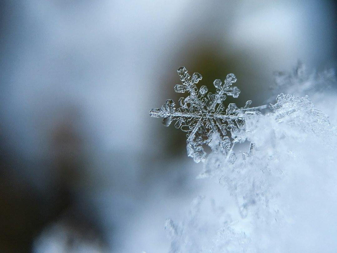 "The Long Winter" by Laura Ingalls Wilder