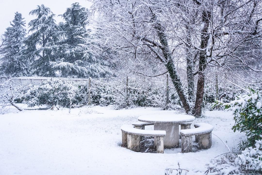 "Winter Garden" by Kristin Hannah