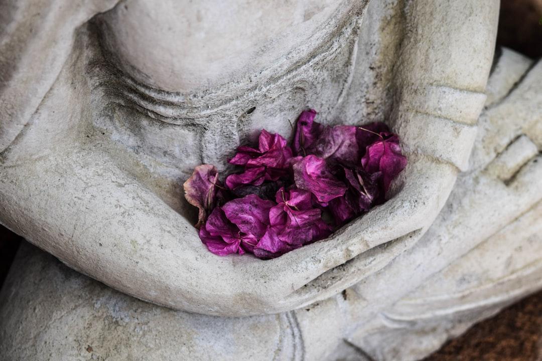 Free Meditation Scripts: Cultivate Mental Readiness