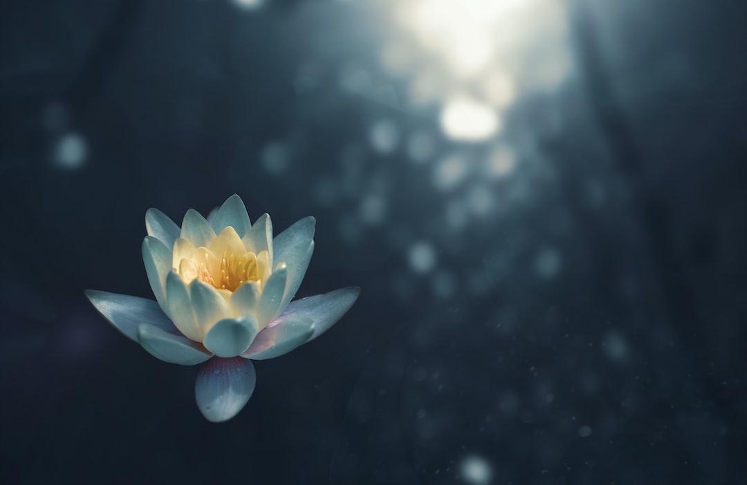 "The Genius Wave" and Free Meditation Script for Confidence